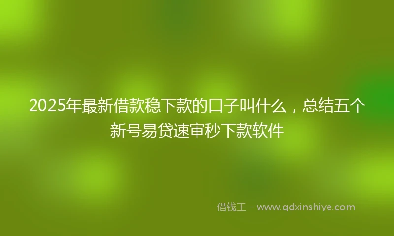 2025年最新借款稳下款的口子叫什么，总结五个新号易贷速审秒下款软件