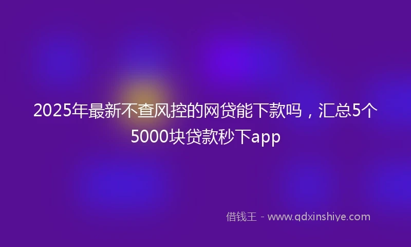 2025年最新不查风控的网贷能下款吗，汇总5个5000块贷款秒下app