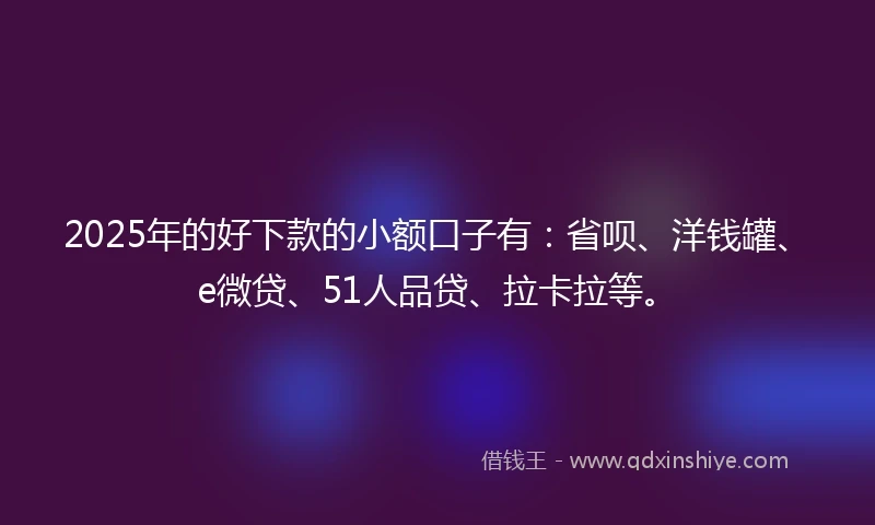 2025年的好下款的小额口子有：省呗、洋钱罐、e微贷、51人品贷、拉卡拉等。