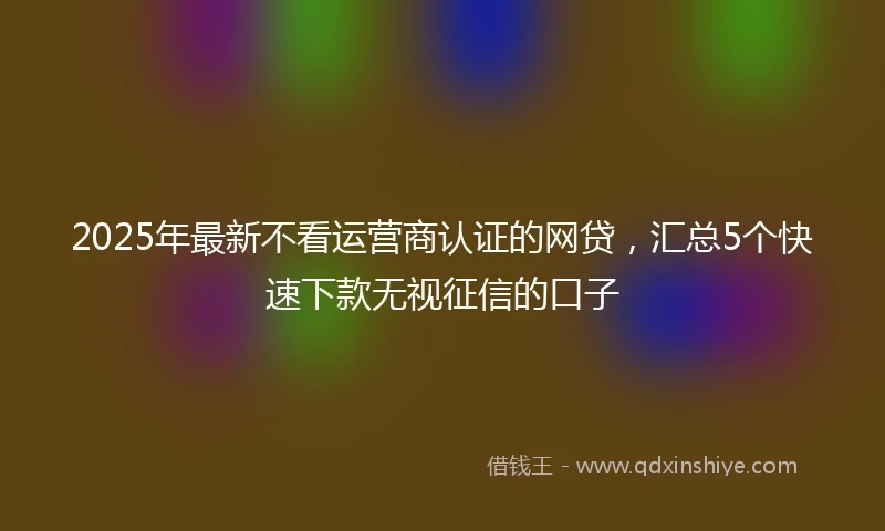 2025年最新不看运营商认证的网贷，汇总5个快速下款无视征信的口子
