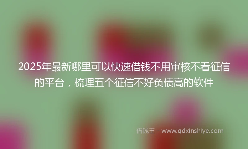 2025年最新哪里可以快速借钱不用审核不看征信的平台，梳理五个征信不好负债高的软件