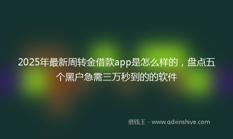 2025年最新周转金借款app是怎么样的，盘点五个黑户急需三万秒到的的软件