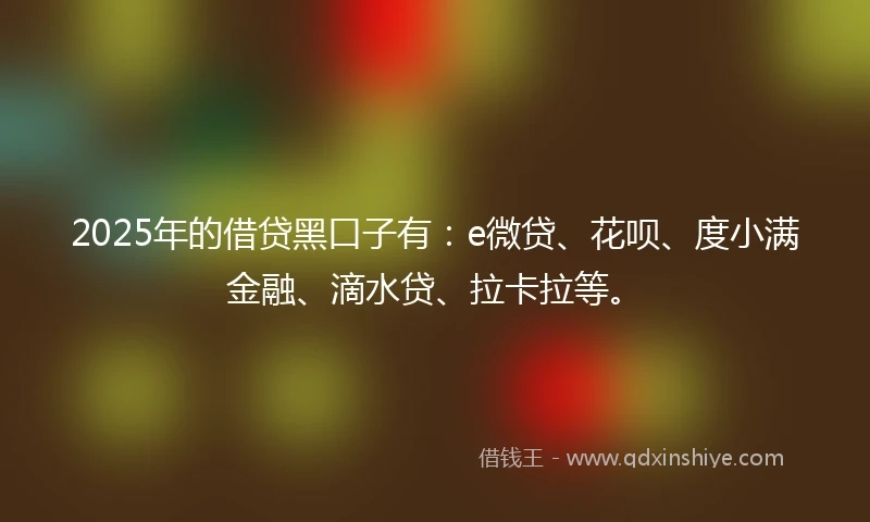 2025年的借贷黑口子有：e微贷、花呗、度小满金融、滴水贷、拉卡拉等。