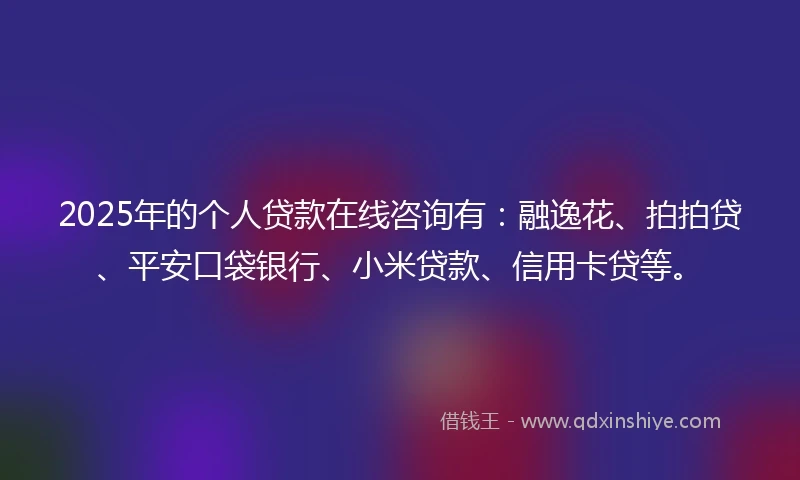 2025年的个人贷款在线咨询有：融逸花、拍拍贷、平安口袋银行、小米贷款、信用卡贷等。