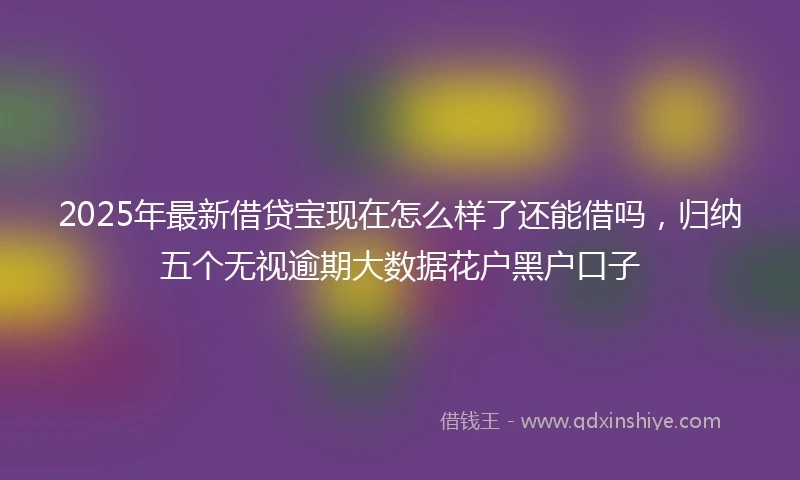 2025年最新借贷宝现在怎么样了还能借吗，归纳五个无视逾期大数据花户黑户口子