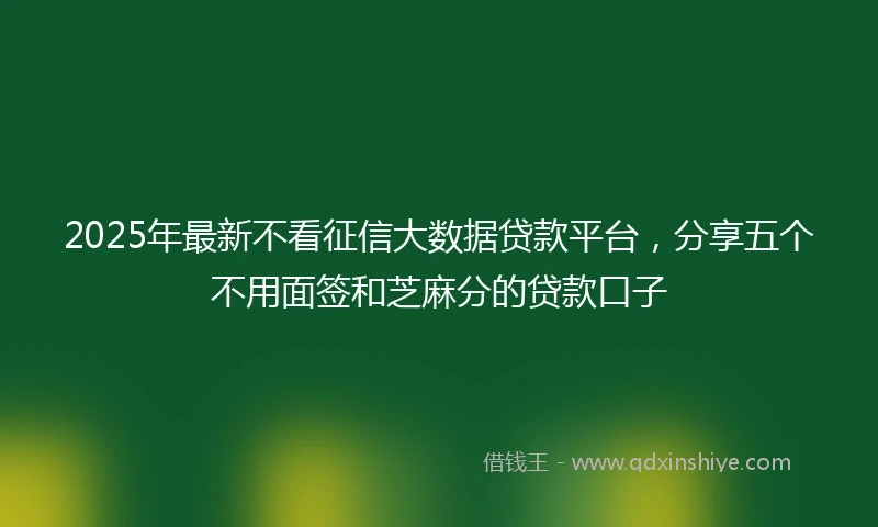 2025年最新不看征信大数据贷款平台，分享五个不用面签和芝麻分的贷款口子