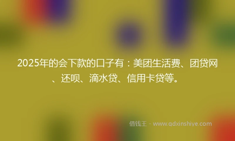 2025年的会下款的口子有：美团生活费、团贷网、还呗、滴水贷、信用卡贷等。