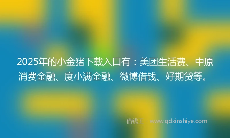 2025年的小金猪下载入口有：美团生活费、中原消费金融、度小满金融、微博借钱、好期贷等。