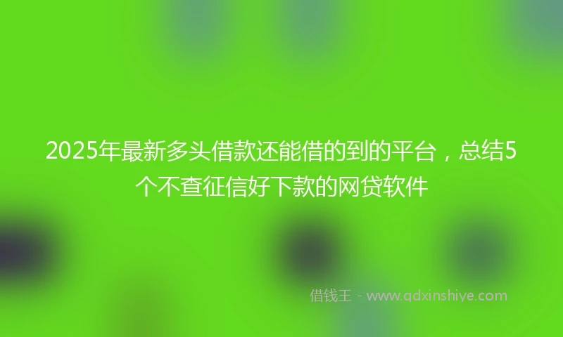 2025年最新多头借款还能借的到的平台，总结5个不查征信好下款的网贷软件