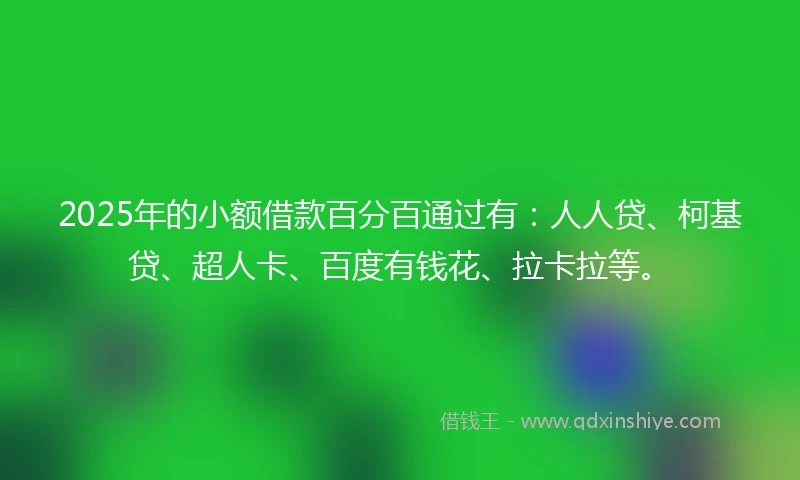 2025年的小额借款百分百通过有：人人贷、柯基贷、超人卡、百度有钱花、拉卡拉等。