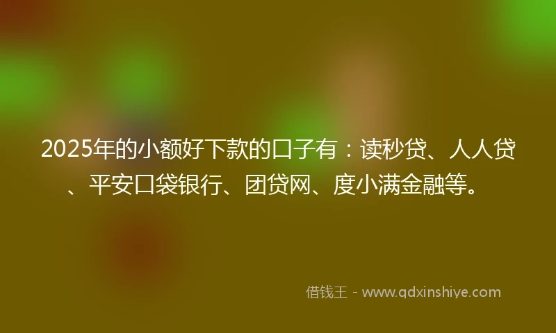 2025年的小额好下款的口子有：读秒贷、人人贷、平安口袋银行、团贷网、度小满金融等。