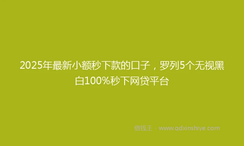 2025年最新小额秒下款的口子，罗列5个无视黑白100%秒下网贷平台