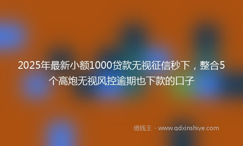 2025年最新小额1000贷款无视征信秒下，整合5个高炮无视风控逾期也下款的口子