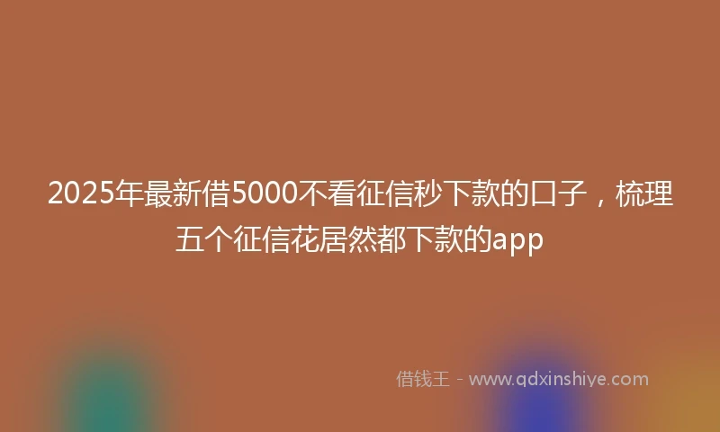 2025年最新借5000不看征信秒下款的口子，梳理五个征信花居然都下款的app