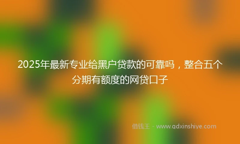 2025年最新专业给黑户贷款的可靠吗，整合五个分期有额度的网贷口子