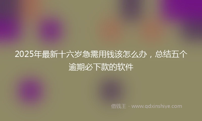 2025年最新十六岁急需用钱该怎么办，总结五个逾期必下款的软件