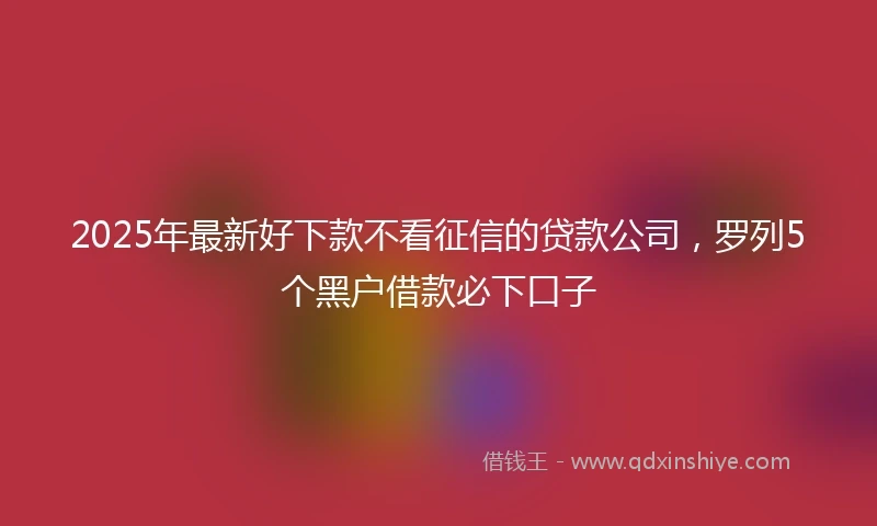 2025年最新好下款不看征信的贷款公司，罗列5个黑户借款必下口子