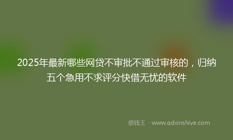 2025年最新哪些网贷不审批不通过审核的，归纳五个急用不求评分快借无忧的软件