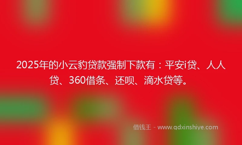 2025年的小云豹贷款强制下款有：平安i贷、人人贷、360借条、还呗、滴水贷等。
