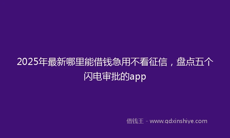2025年最新哪里能借钱急用不看征信，盘点五个闪电审批的app