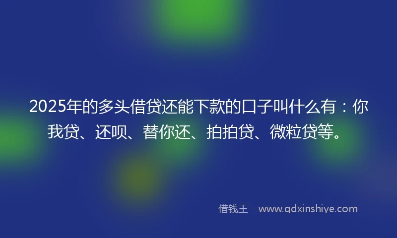 2025年的多头借贷还能下款的口子叫什么有:你我贷、还呗、替你还、拍拍贷、微粒贷等。