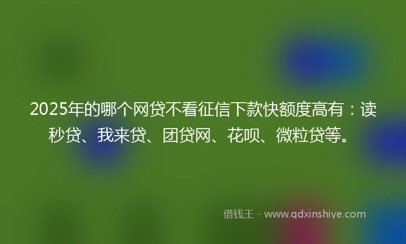 2025年的哪个网贷不看征信下款快额度高有：读秒贷、我来贷、团贷网、花呗、微粒贷等。