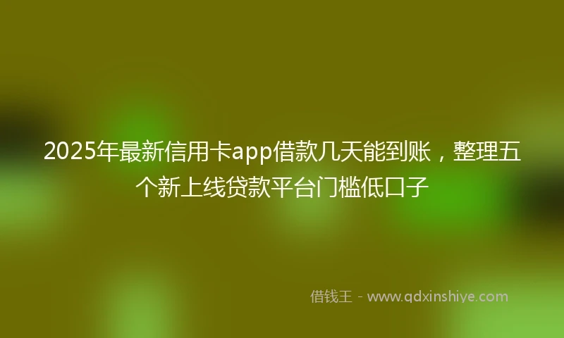 2025年最新信用卡app借款几天能到账，整理五个新上线贷款平台门槛低口子
