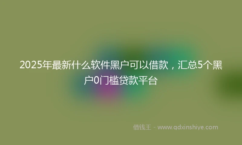 2025年最新什么软件黑户可以借款，汇总5个黑户0门槛贷款平台
