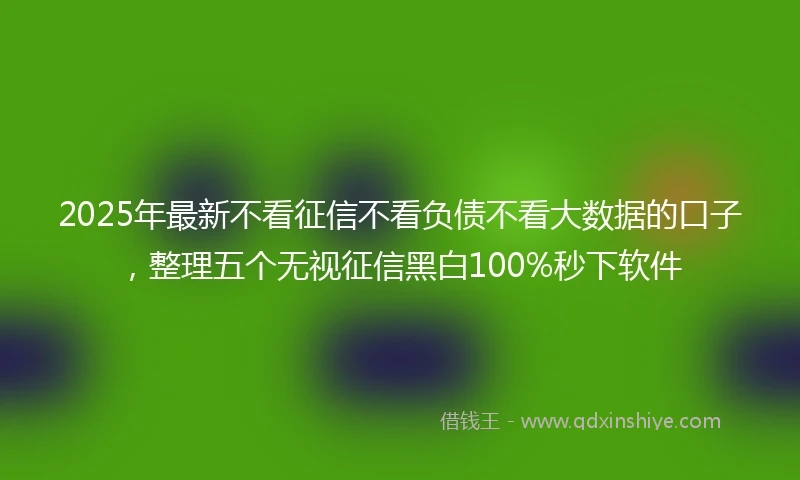 2025年最新不看征信不看负债不看大数据的口子，整理五个无视征信黑白100%秒下软件