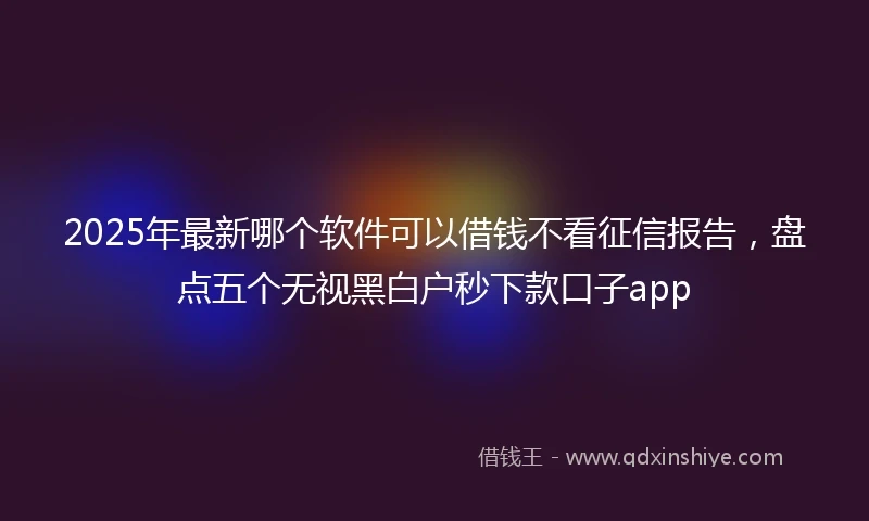 2025年最新哪个软件可以借钱不看征信报告，盘点五个无视黑白户秒下款口子app