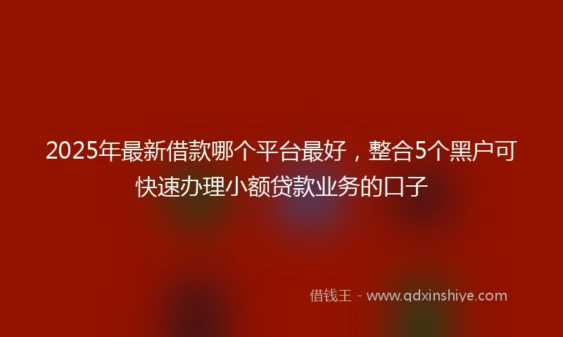 2025年最新借款哪个平台最好，整合5个黑户可快速办理小额贷款业务的口子