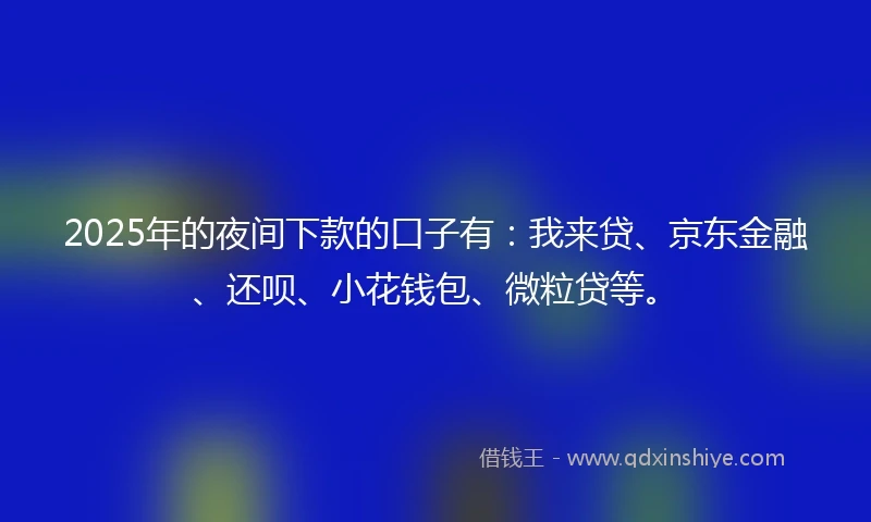 2025年的夜间下款的口子有：我来贷、京东金融、还呗、小花钱包、微粒贷等。