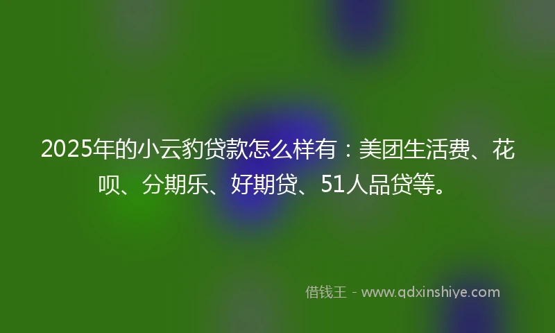 2025年的小云豹贷款怎么样有：美团生活费、花呗、分期乐、好期贷、51人品贷等。