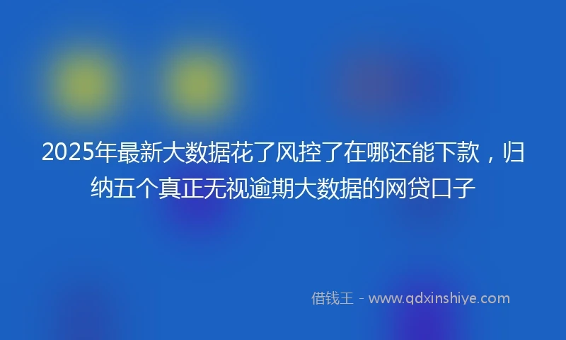 2025年最新大数据花了风控了在哪还能下款，归纳五个真正无视逾期大数据的网贷口子