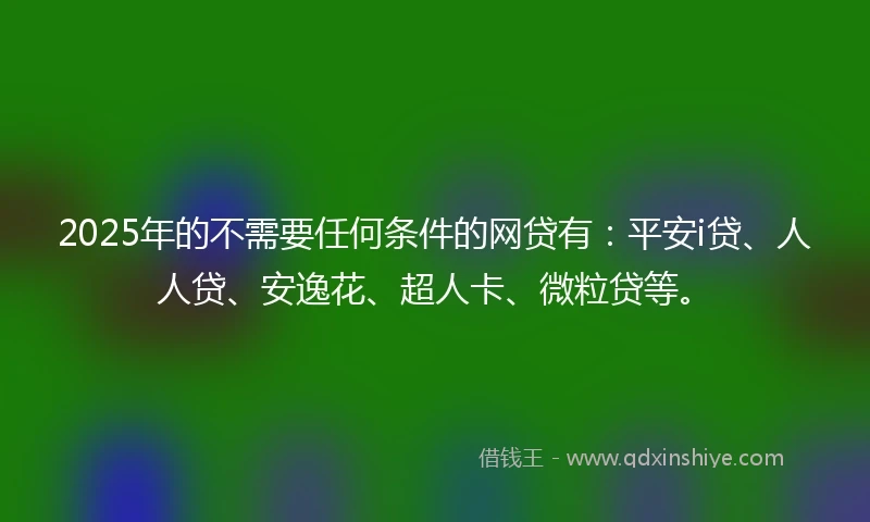 2025年的不需要任何条件的网贷有：平安i贷、人人贷、安逸花、超人卡、微粒贷等。