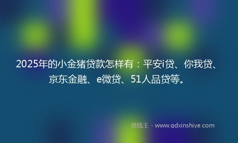 2025年的小金猪贷款怎样有：平安i贷、你我贷、京东金融、e微贷、51人品贷等。