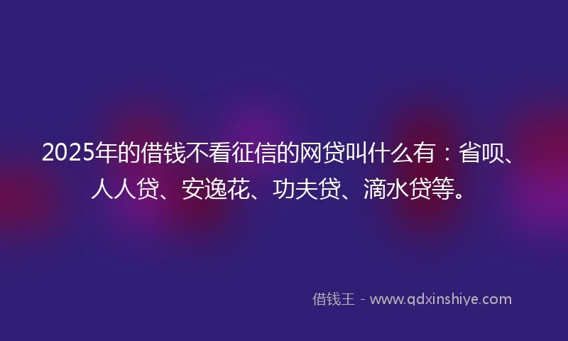 2025年的借钱不看征信的网贷叫什么有：省呗、人人贷、安逸花、功夫贷、滴水贷等。