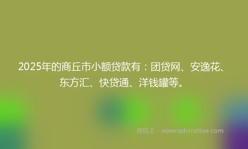 2025年的商丘市小额贷款有：团贷网、安逸花、东方汇、快贷通、洋钱罐等。