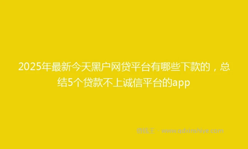 2025年最新今天黑户网贷平台有哪些下款的，总结5个贷款不上诚信平台的app