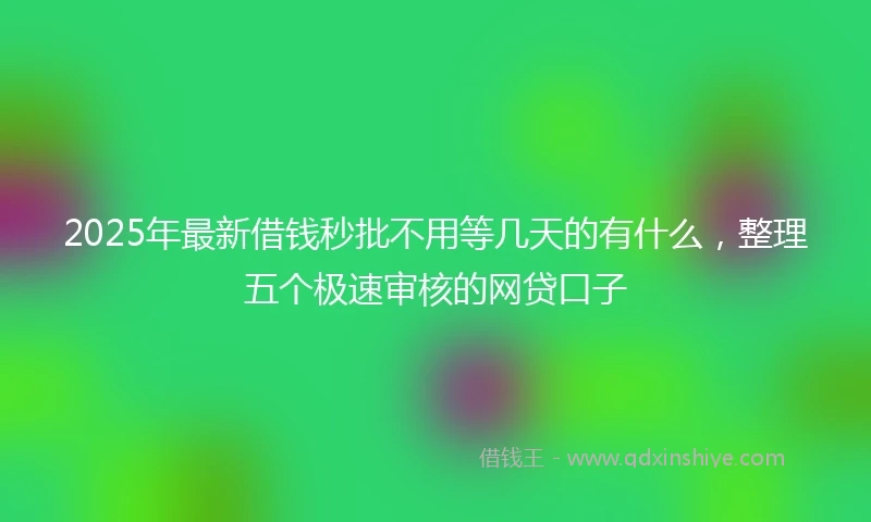 2025年最新借钱秒批不用等几天的有什么，整理五个极速审核的网贷口子