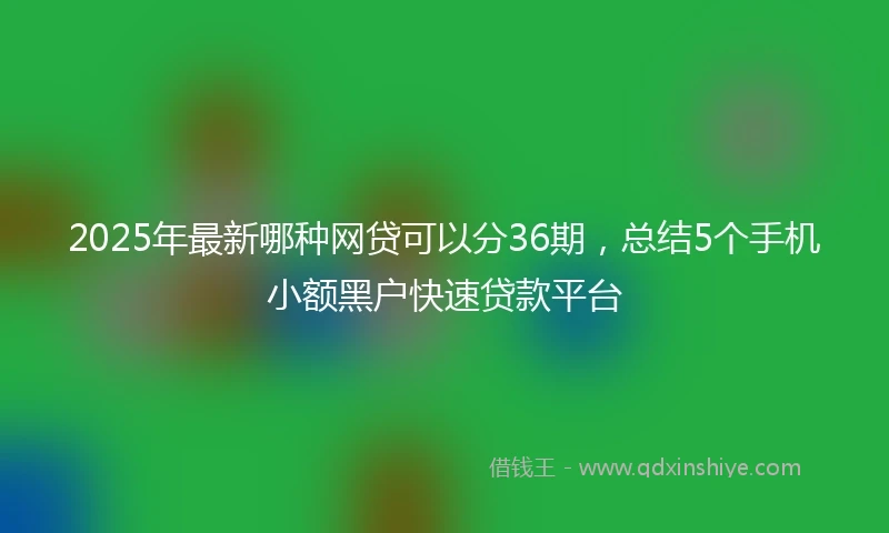2025年最新哪种网贷可以分36期，总结5个手机小额黑户快速贷款平台