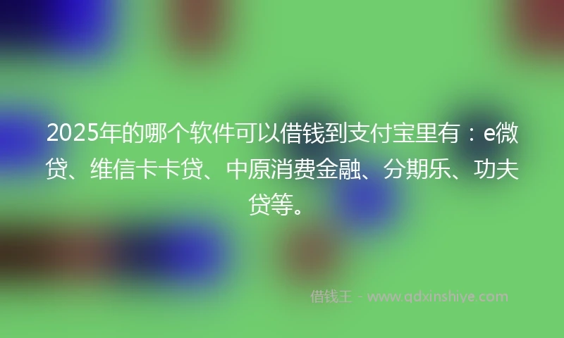 2025年的哪个软件可以借钱到支付宝里有：e微贷、维信卡卡贷、中原消费金融、分期乐、功夫贷等。