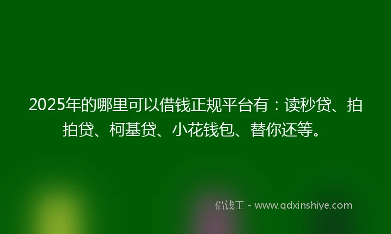 2025年的哪里可以借钱正规平台有：读秒贷、拍拍贷、柯基贷、小花钱包、替你还等。