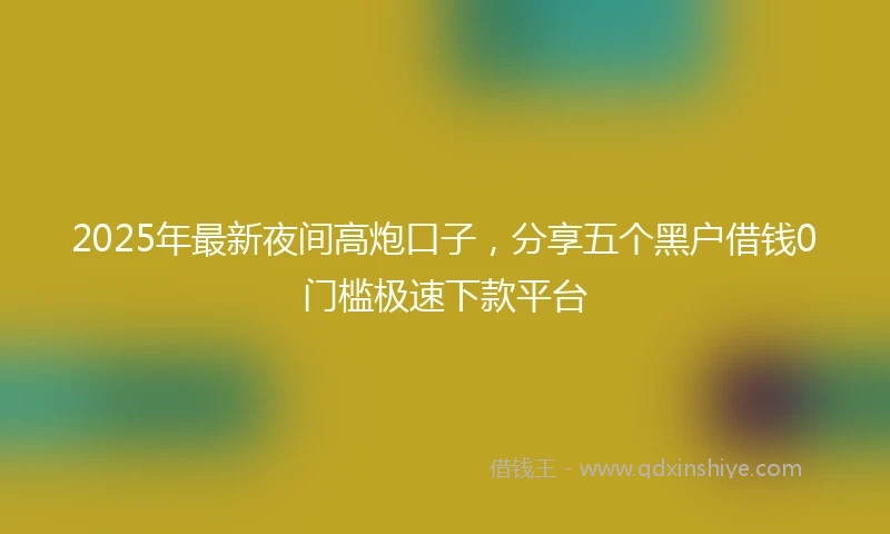 2025年最新夜间高炮口子,分享五个黑户借钱0门槛极速下款平台
