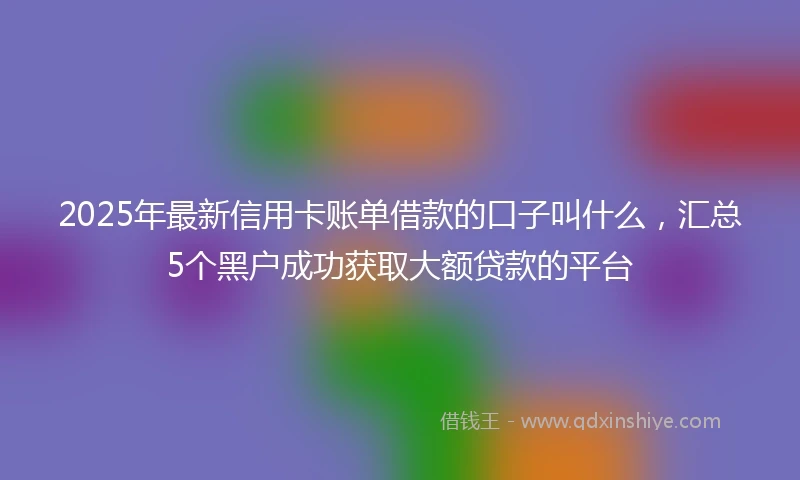 2025年最新信用卡账单借款的口子叫什么，汇总5个黑户成功获取大额贷款的平台