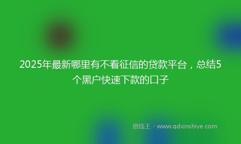 2025年最新哪里有不看征信的贷款平台，总结5个黑户快速下款的口子