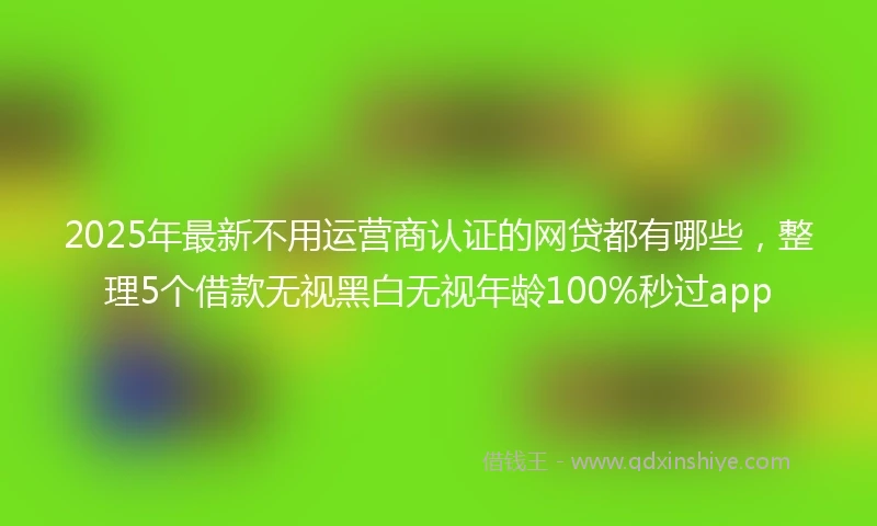 2025年最新不用运营商认证的网贷都有哪些，整理5个借款无视黑白无视年龄100%秒过app