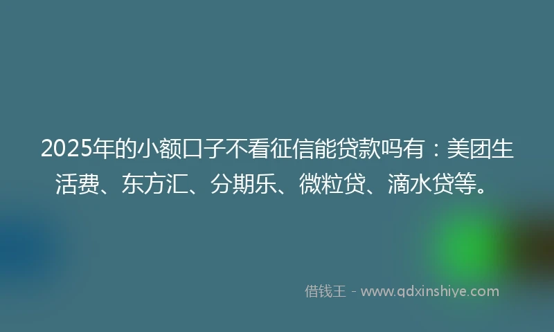 2025年的小额口子不看征信能贷款吗有：美团生活费、东方汇、分期乐、微粒贷、滴水贷等。