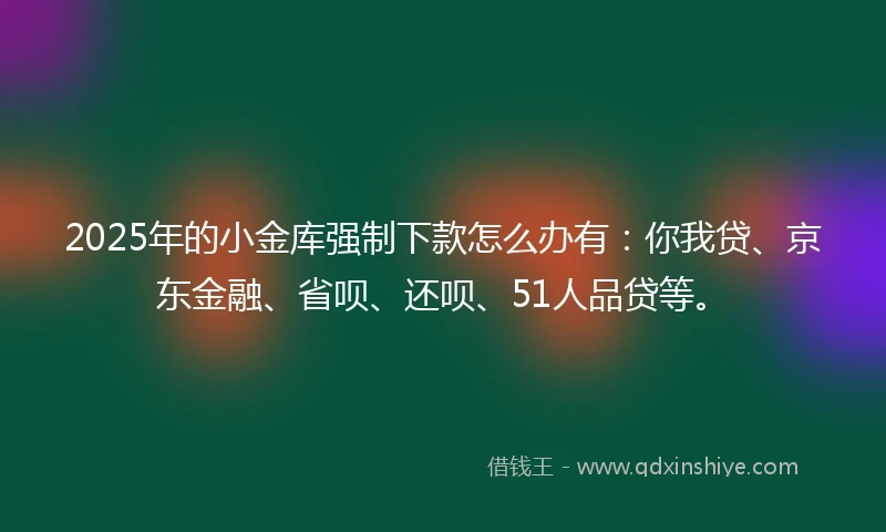 2025年的小金库强制下款怎么办有：你我贷、京东金融、省呗、还呗、51人品贷等。