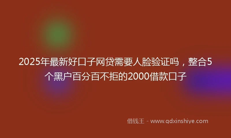 2025年最新好口子网贷需要人脸验证吗，整合5个黑户百分百不拒的2000借款口子